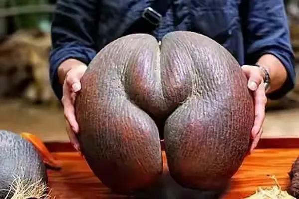 100多种罕见水果欣赏,100种罕见水果名字