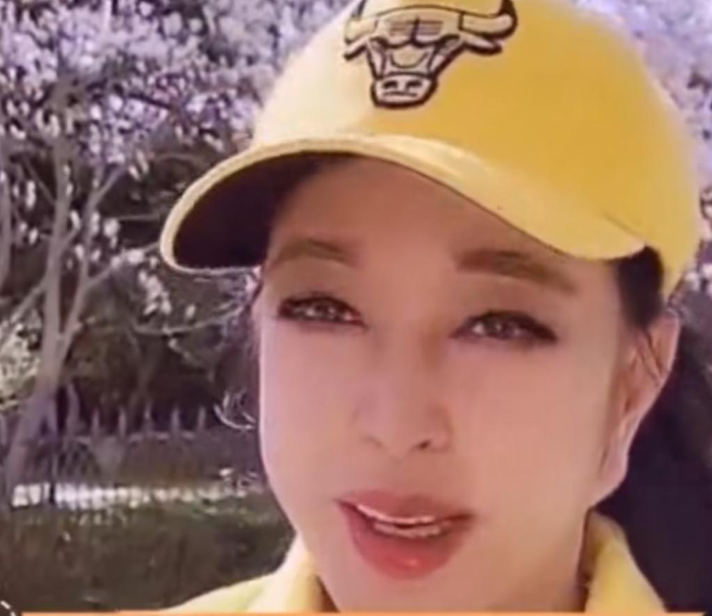 秦岚和柳岩图片,常远舒畅柳岩秦岚刘芸同台演绎