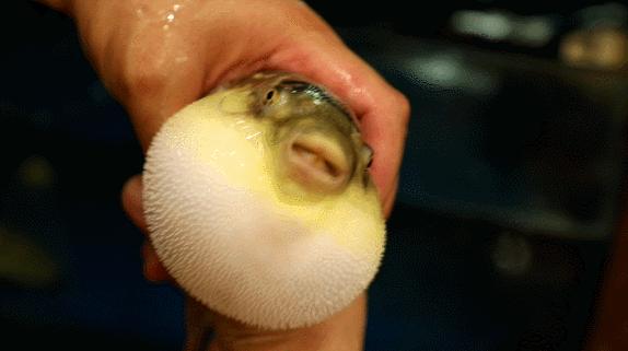 日本100种奇葩美食,日本八大奇葩美食