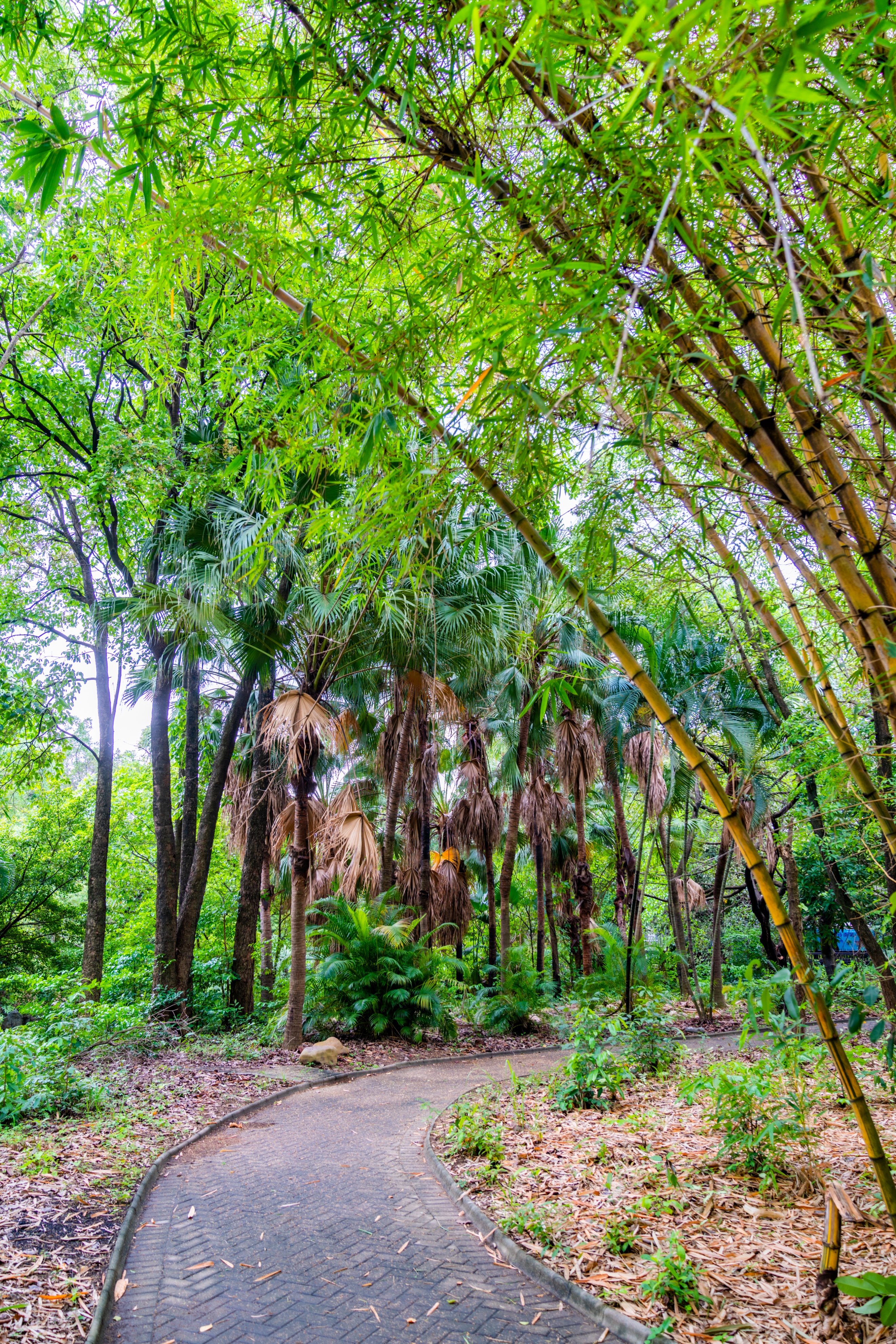 粤晖园国庆游,粤晖园自驾游攻略