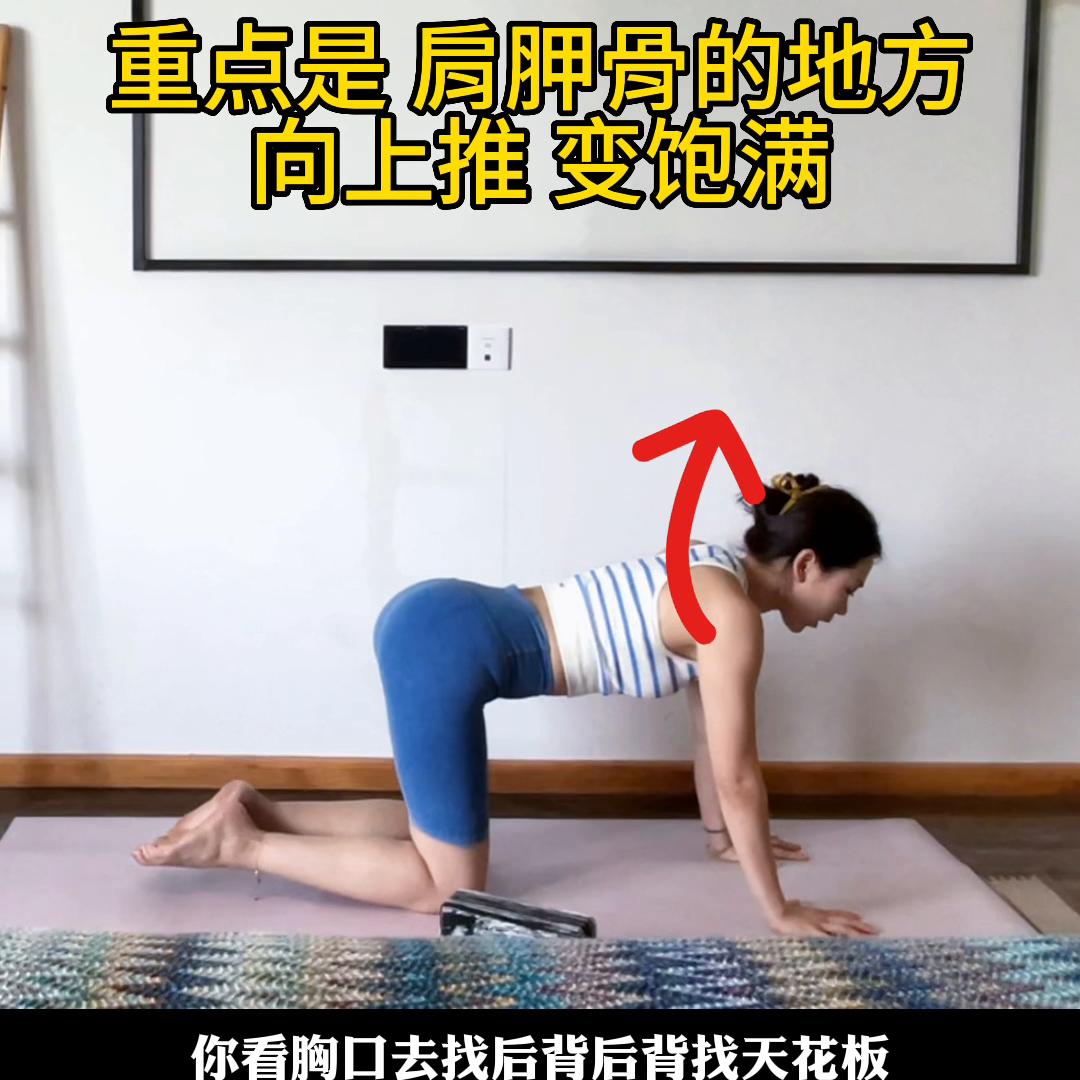 胳膊没劲儿，四柱做不到，教你一个退阶练习方法#瑜伽硕士