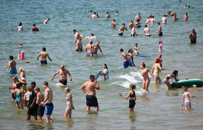 40度高温蜜蜂吃什么药,高温天气蜜蜂在外面死很多