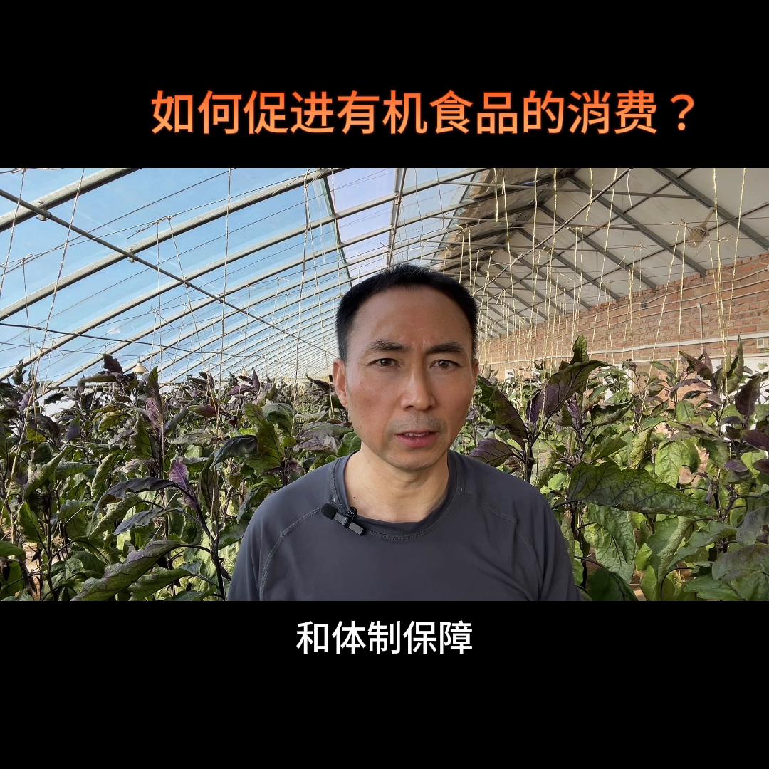 零食企业抖音短视频营销方案,短期食品怎样在抖音运营