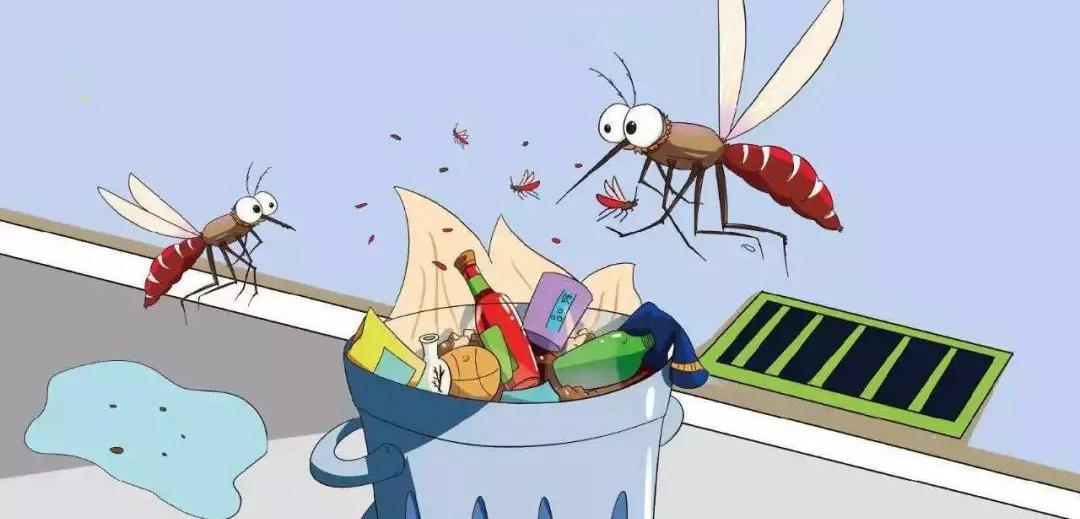 雨天安全出行、雨后预防这些疾病→提示来了······