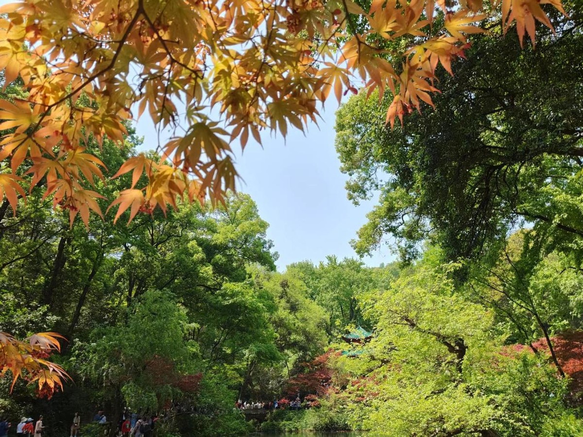 玩转长沙攻略,带你玩遍长沙攻略