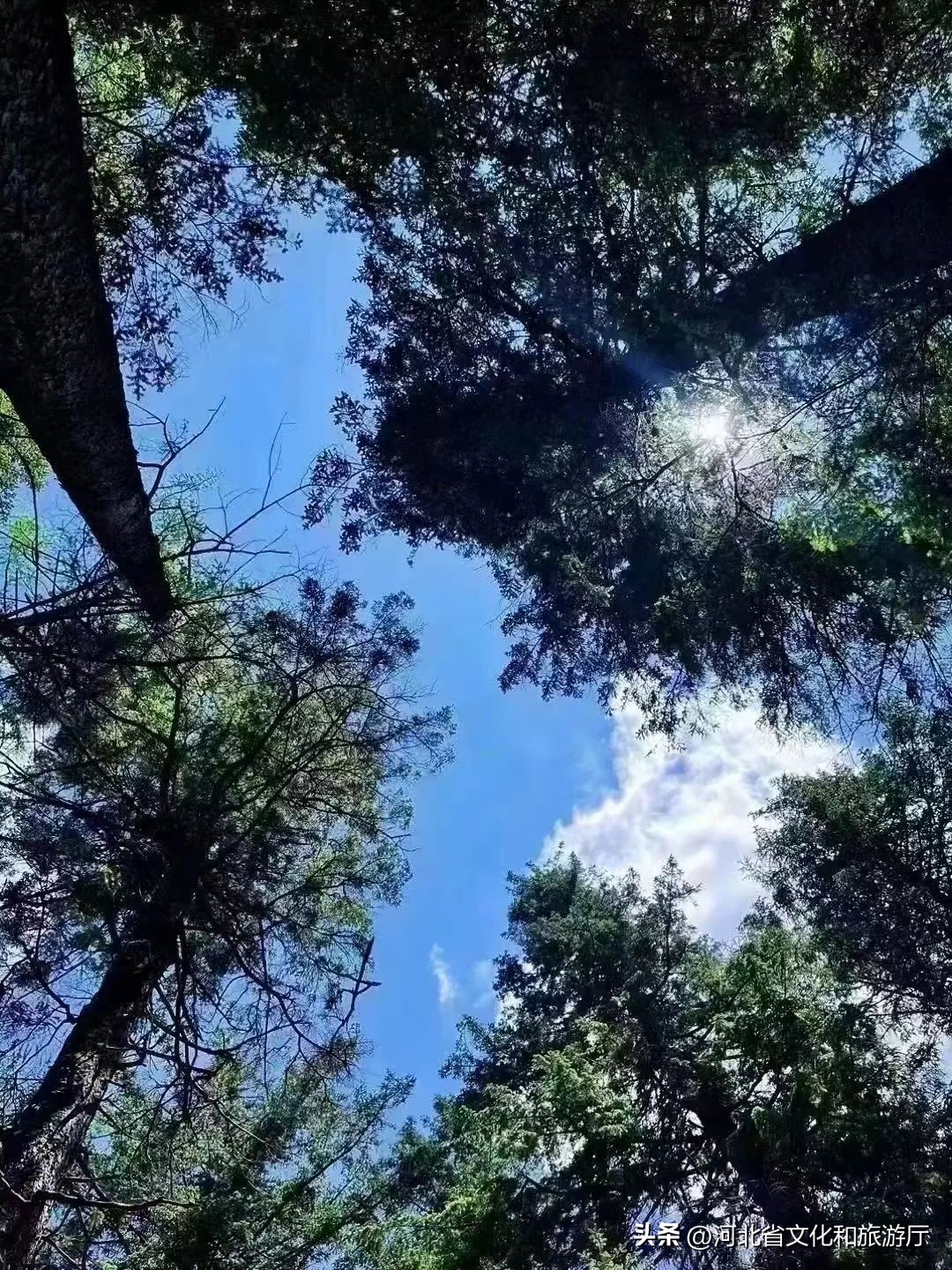 中国夏季避暑胜地排名前十,中国十大避暑胜地第一名你想不到