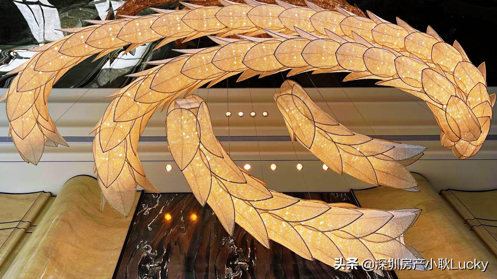 深圳中心天元最好的户型,深圳中心天元539平户型图