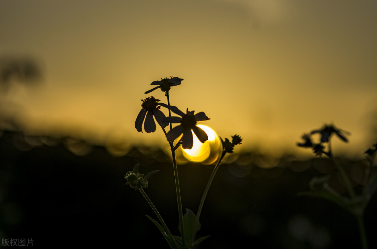人生为什么会觉得无趣,当你觉得人生无趣