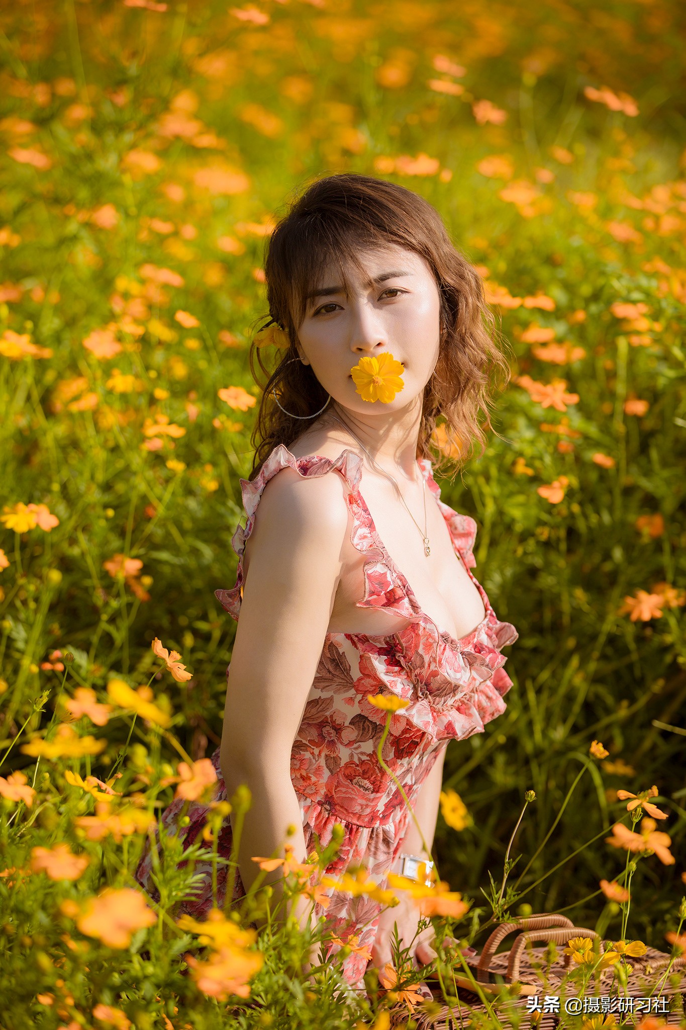 85mm人像镜头使用,85mm镜头只适合拍人像吗