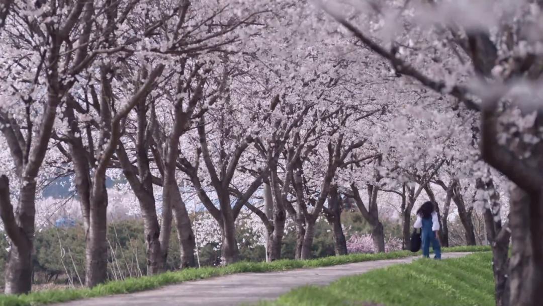 “躺平剧”虽迟但到，这俩人也太好嗑了