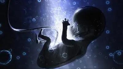 怀孕后养宠物的危害有哪些,孕早期养宠物有哪些危害