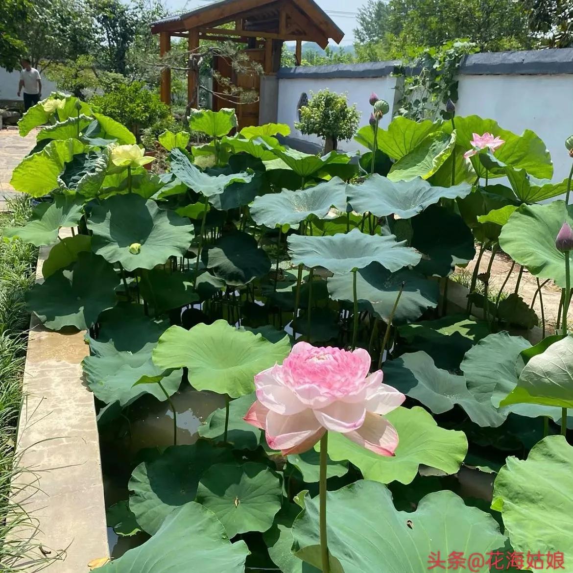 感觉自己好累好累的句子,感觉自己每天都好累好累