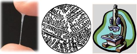 怕ta不来，又怕ta乱来！女生关于月经那点事儿