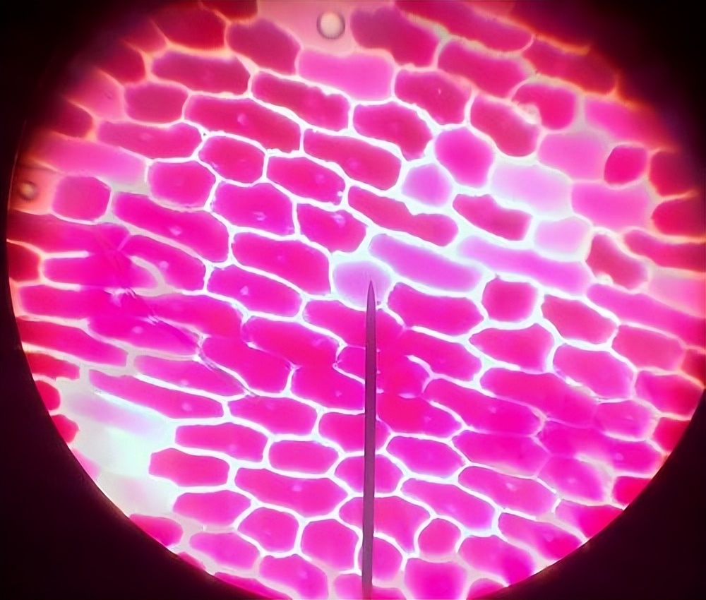 氧化锌在饲料里的作用,氧化锌纳米材料的制备