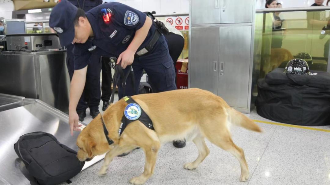 公安局夏季治安打击整治行动会议,福田公安全力推进夏季治安打击