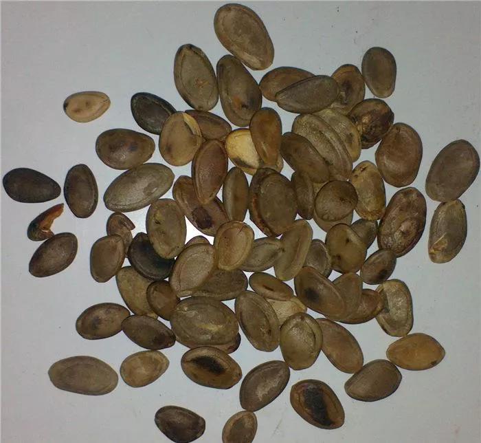 隐藏在田地里的深坑,隐藏在田间