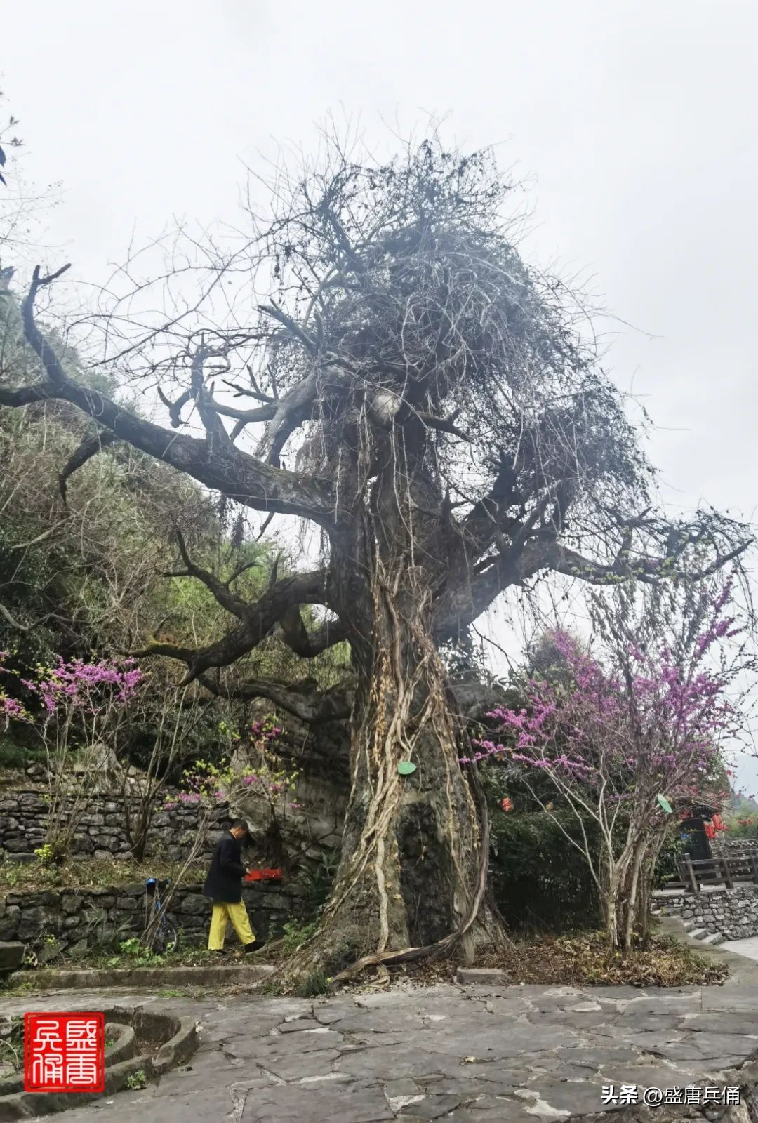以三峡旅游闻名的湖北宜昌,长江三峡西陵峡美妙风光