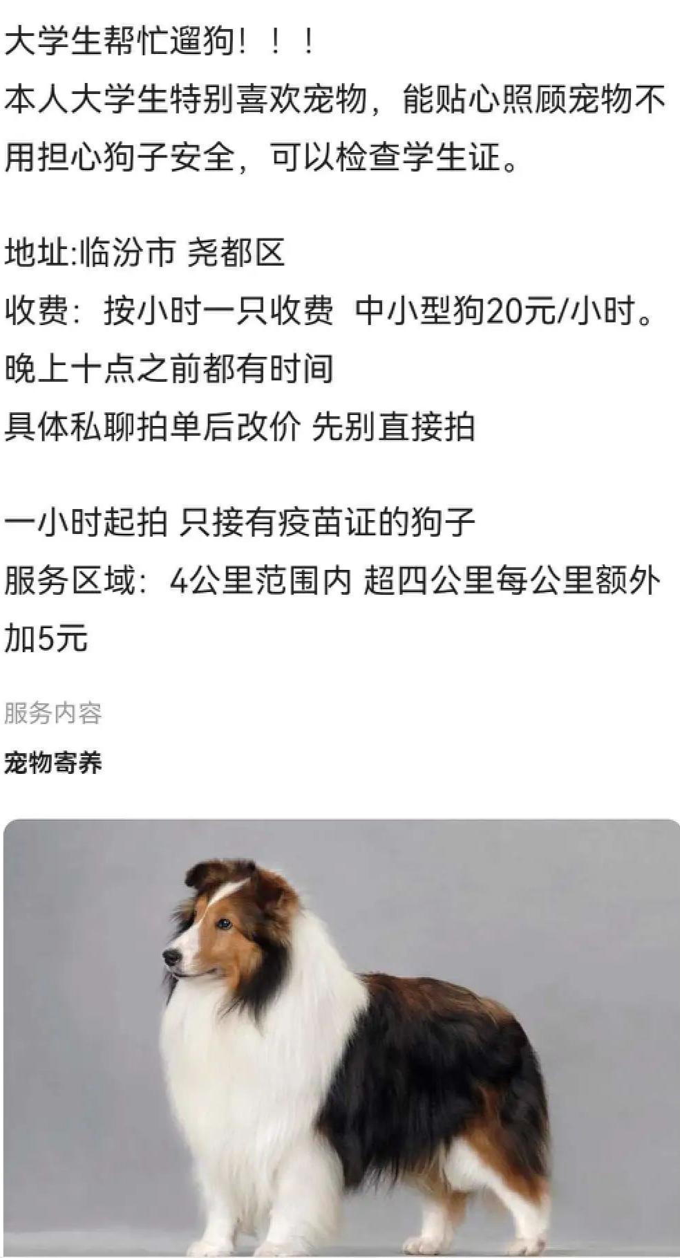 00后暑期工,00后暑假工去哪里