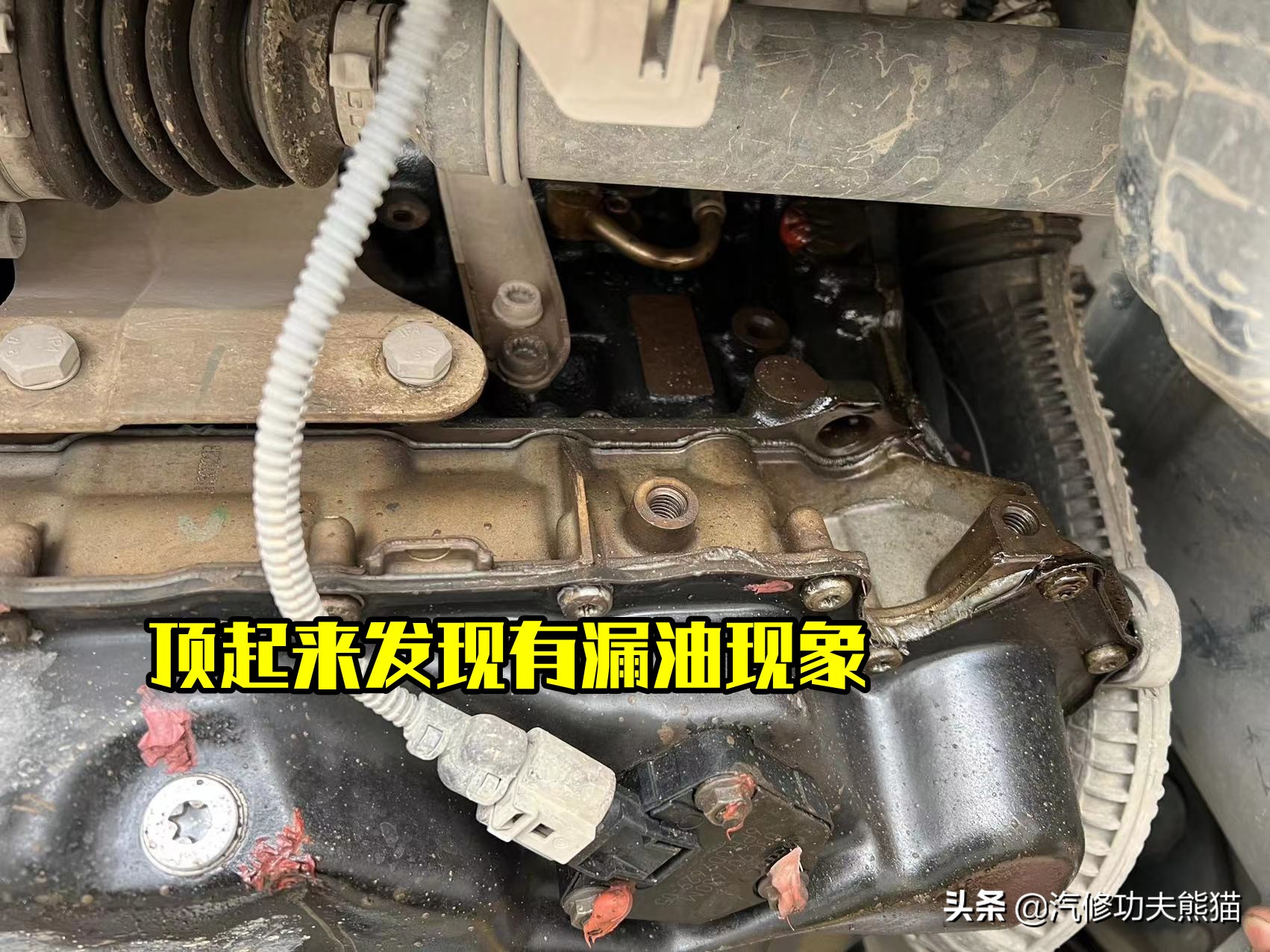 天塌了二手车,降价最狠的二手车迈腾