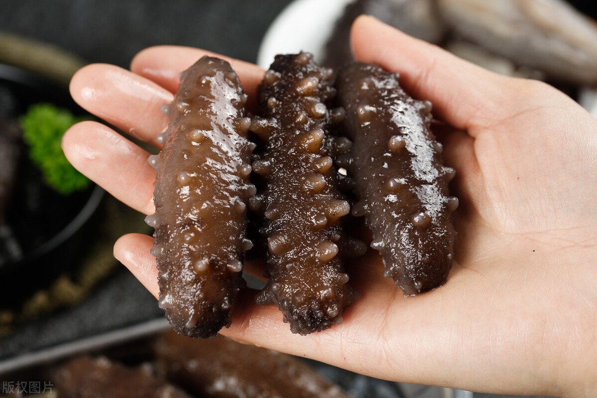 陈戌源终被查，男足的路在何方？