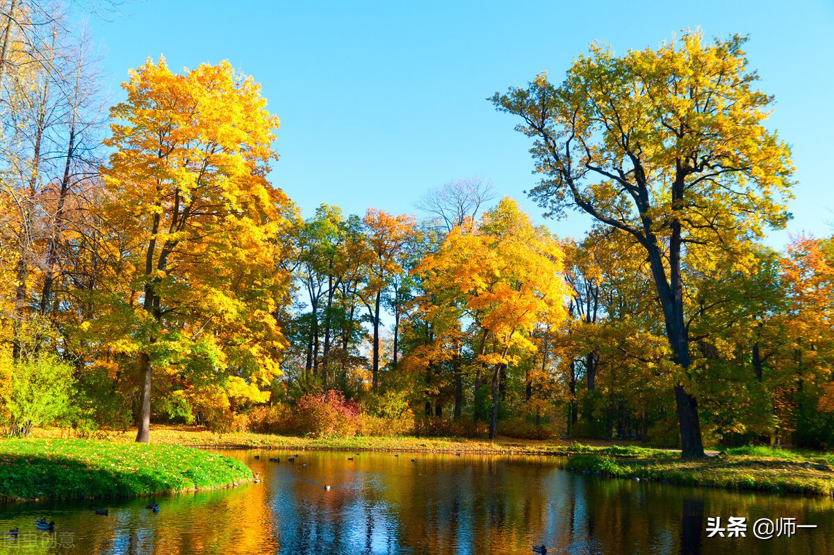 裸猿《道德篇》——自然•人类•科学(作者:詹克明)