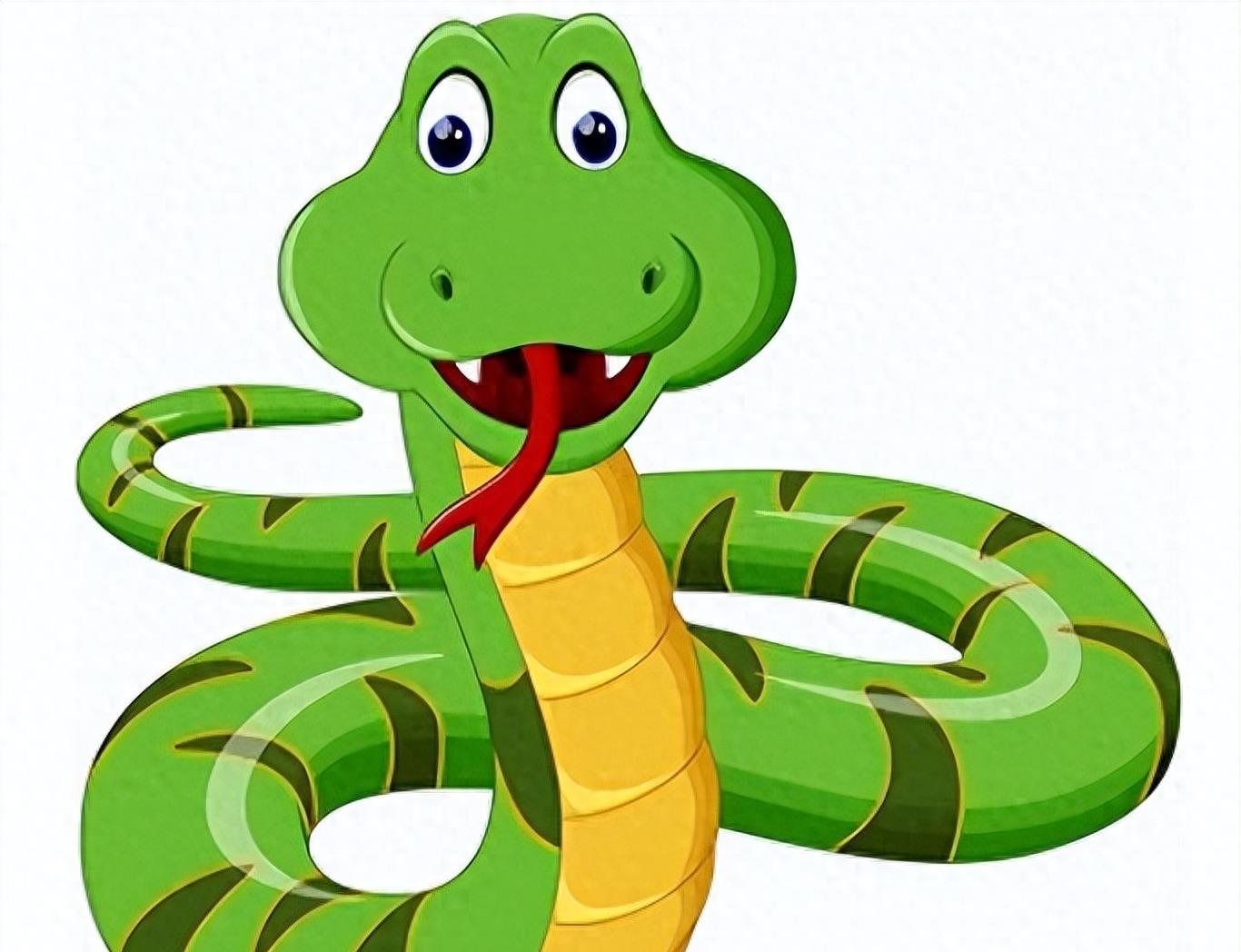 蛇岛生态链惊现老鼠吃蛇,2万条蛇成口粮引关注