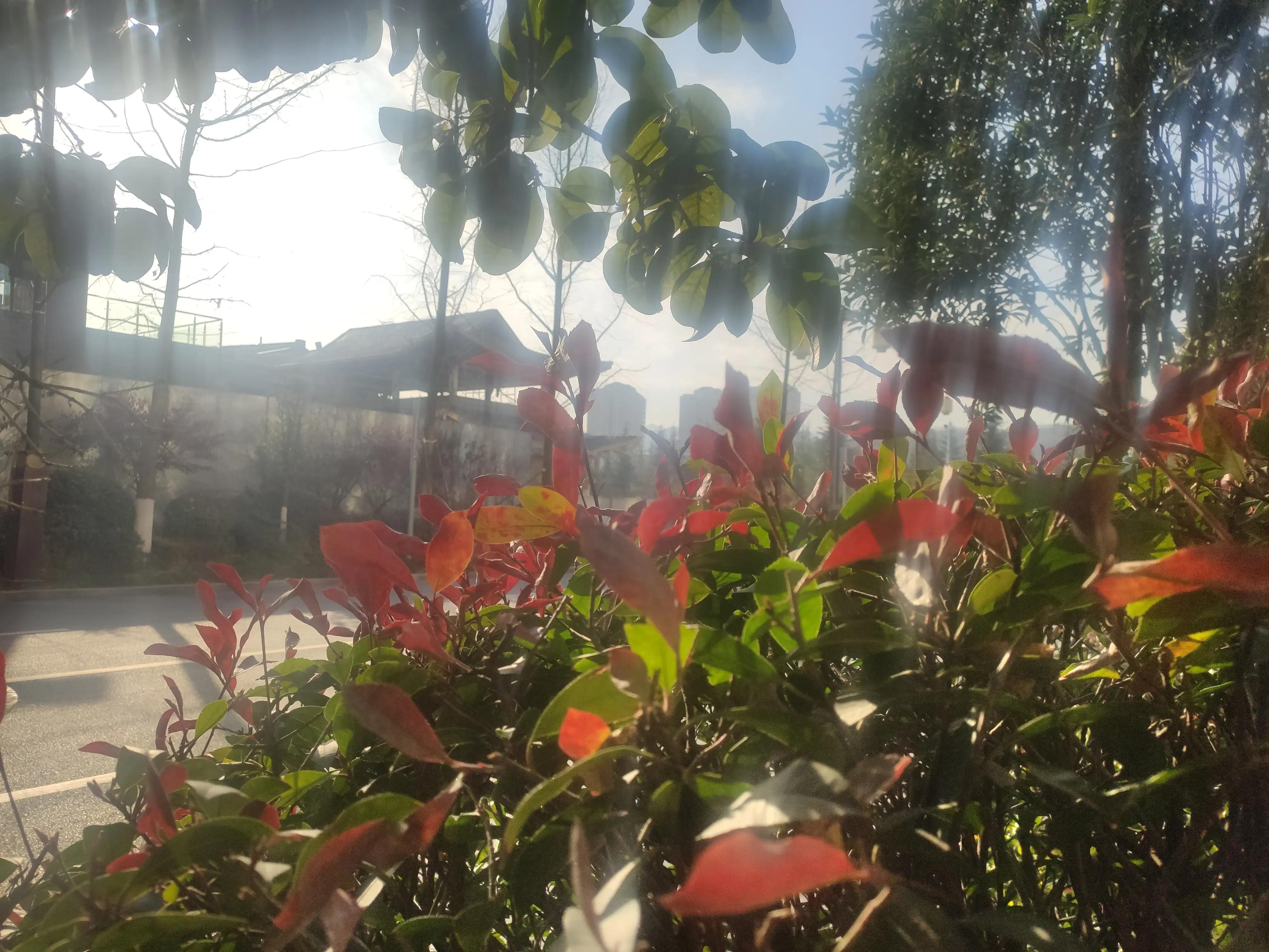 山色空蒙雨亦奇,水光潋滟晴方好山色空蒙的意思