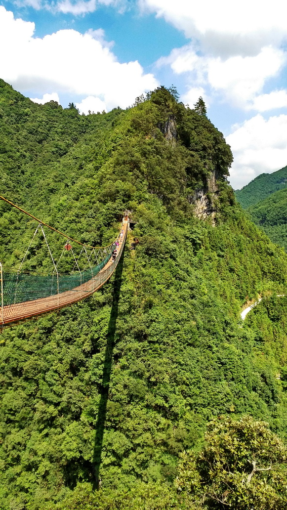 廿万公里42章再上青岗坪,重吃特供菜,湖北避暑大比拼