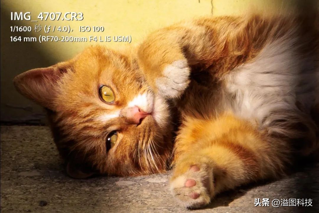 佳能eosr50详细介绍,沉浸式体验佳能r6二代