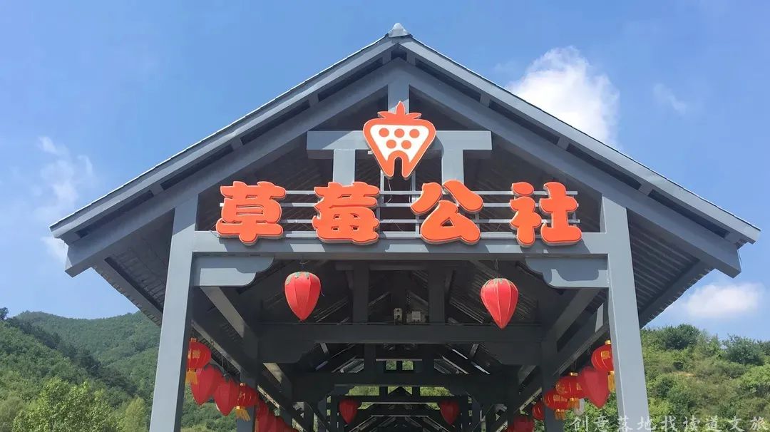 乡村振兴示范村典型案例建设方案,乡村振兴谋划不全不细典型案例