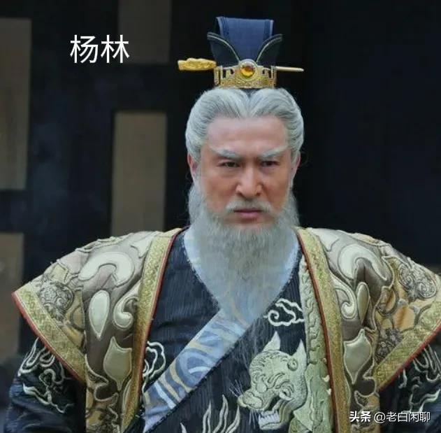 靠山王杨林战死隋朝气数已尽,隋朝历史中真有靠山王杨林吗