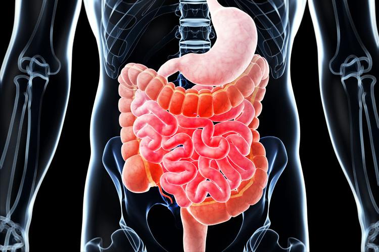 专家总结治疗肛裂的最佳治疗方式,治疗肛裂生肌的药