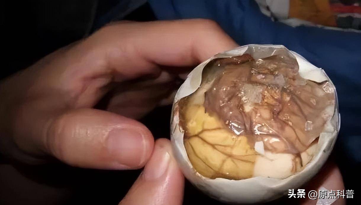 盘点广西十大奇葩美食狗肉,广西特色美食全是经典快来看看吧