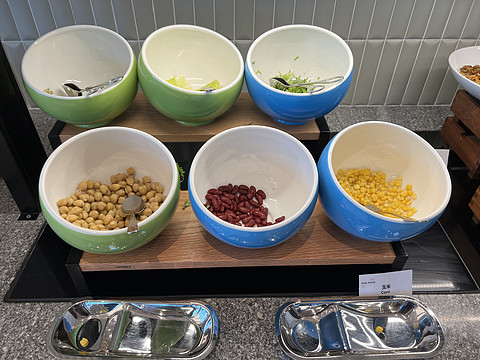 窗含西岭千秋雪成都环球中心雪山,窗含西岭千秋雪魅力成都