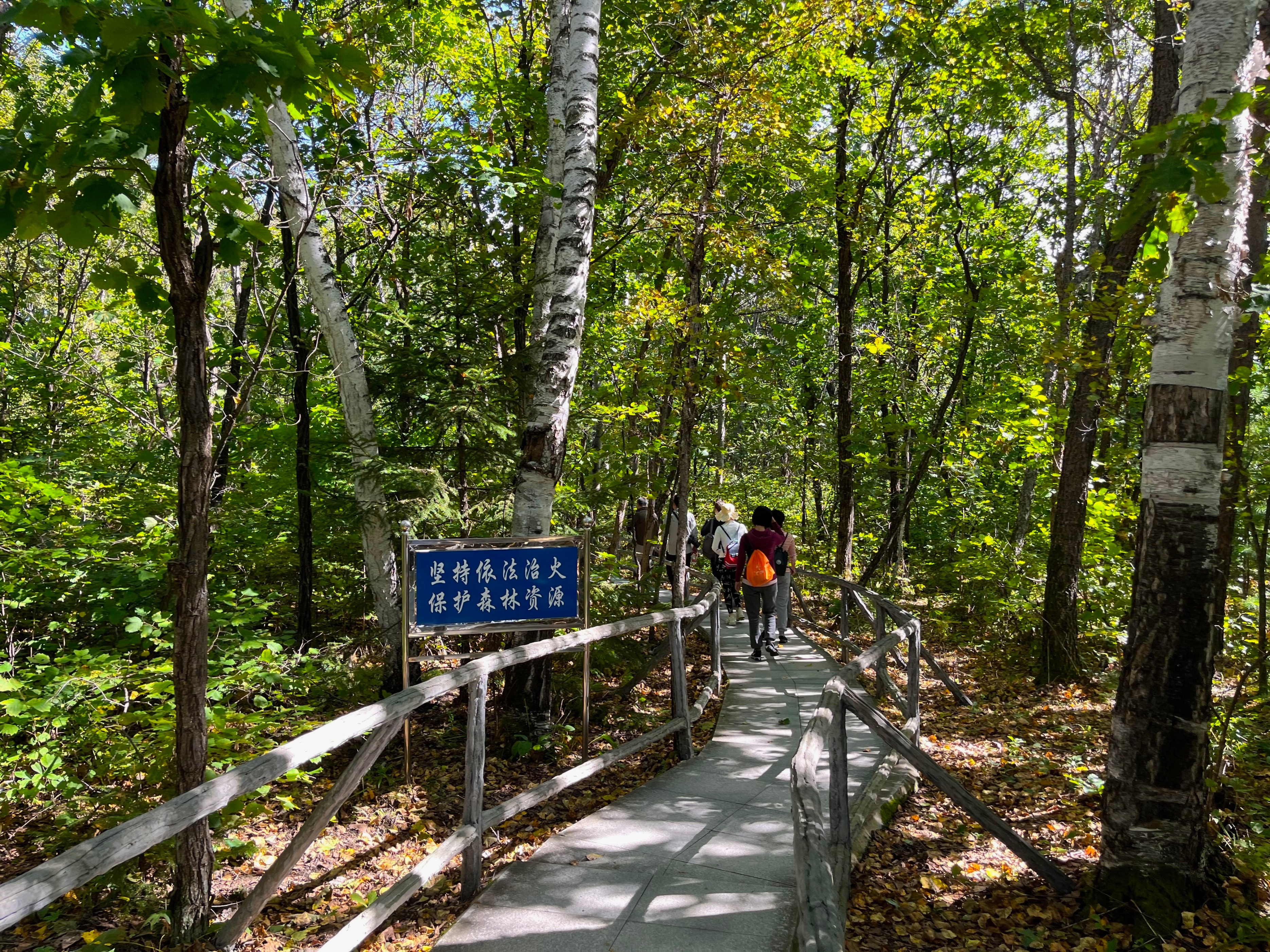 夫妻自驾11000公里,夫妻两人自驾游最新视频