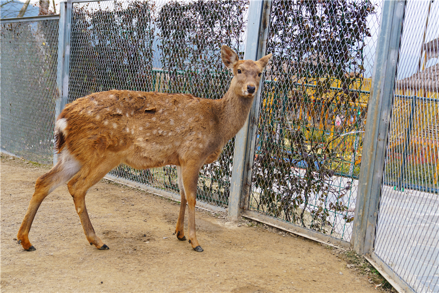 泰顺玉龙山氡泉温泉攻略,隐居山林世外桃源看夕阳