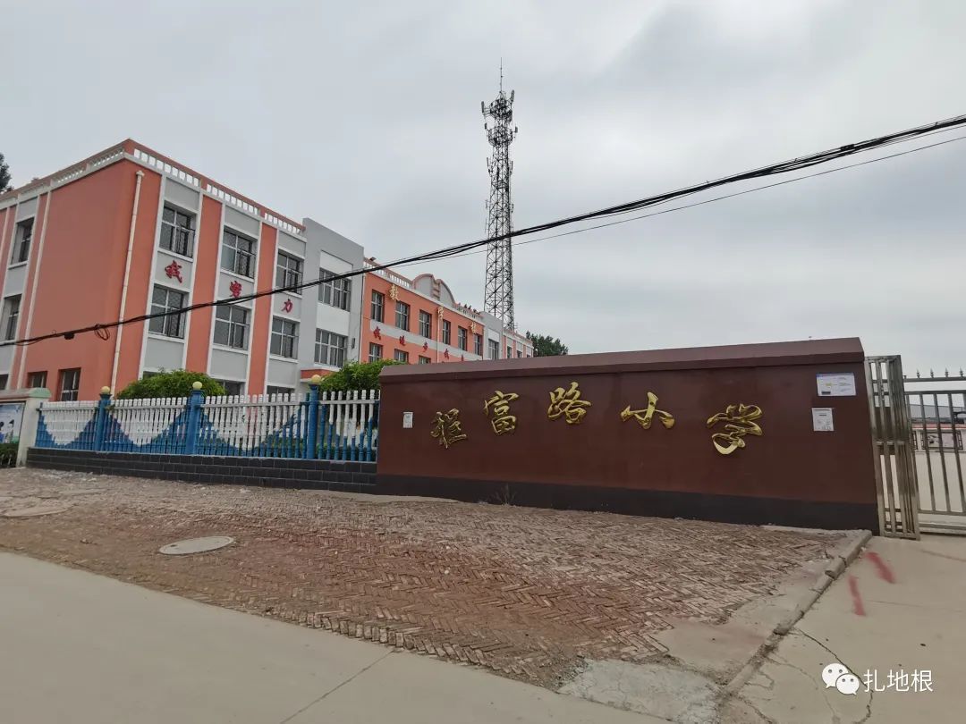 衡水市区比较好的小学有哪些,衡水公办小学有哪些