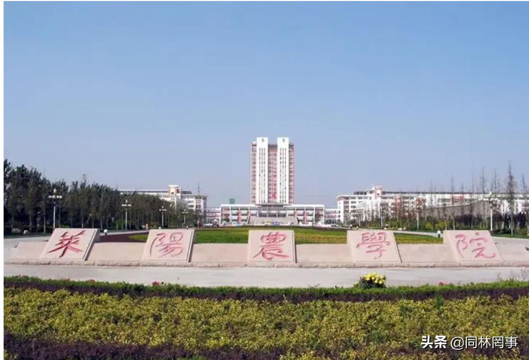 70后眼中的大学之南京林业,青岛农业大学的发展史