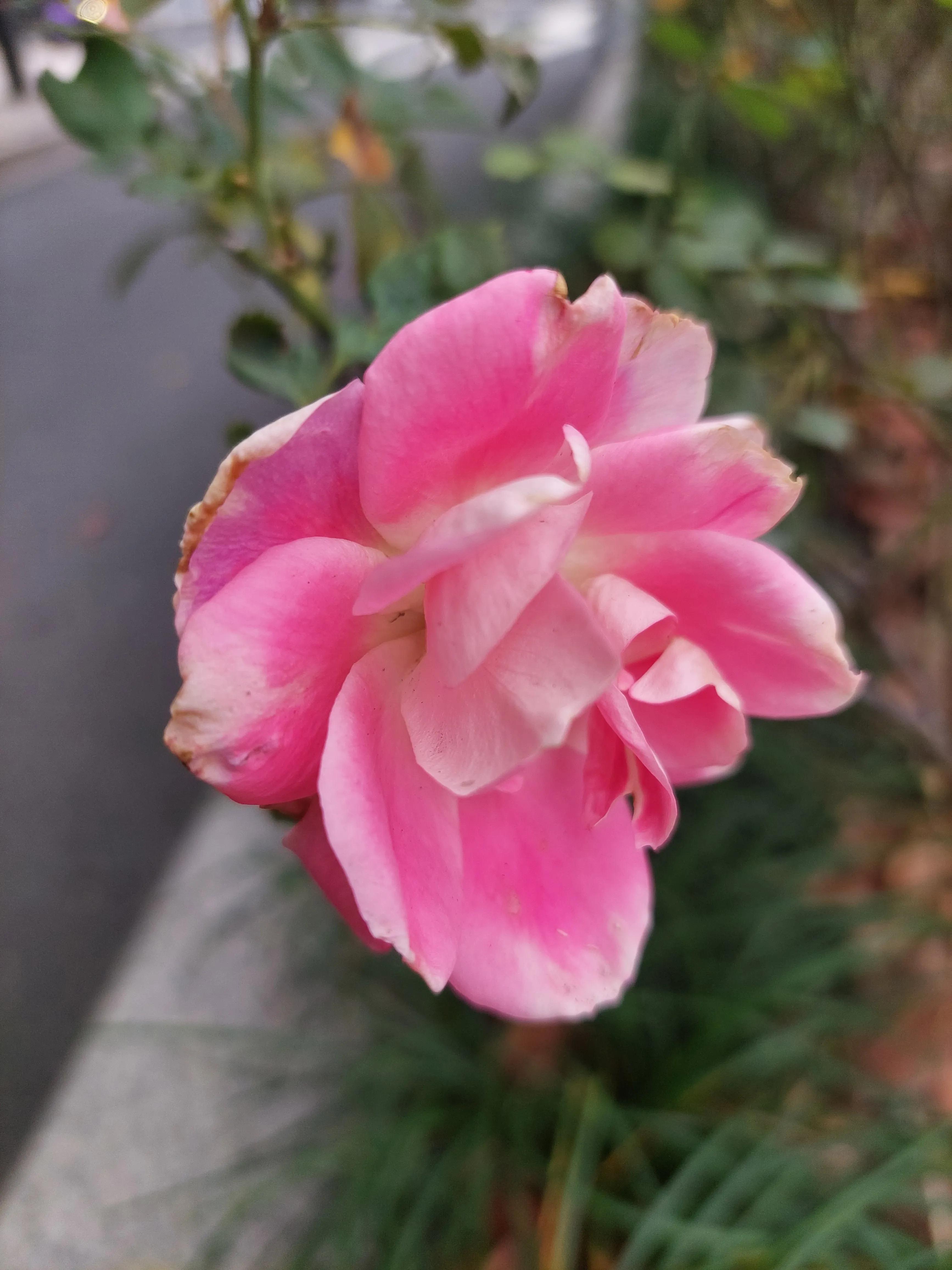 青春记忆足球,青春里的足球记忆