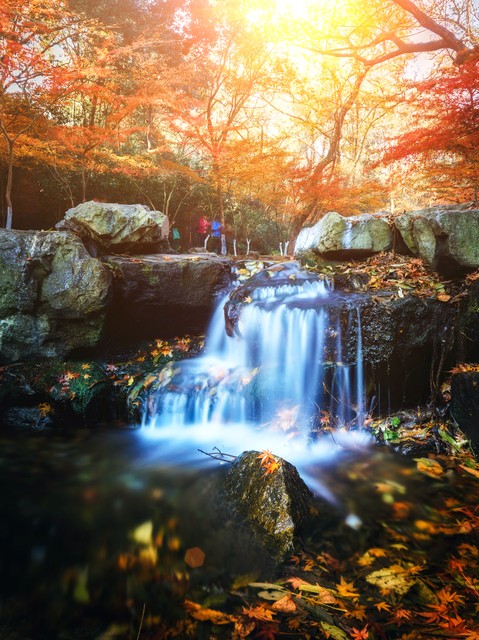 40岁我决定换一种活法,40岁最好的活法6个字