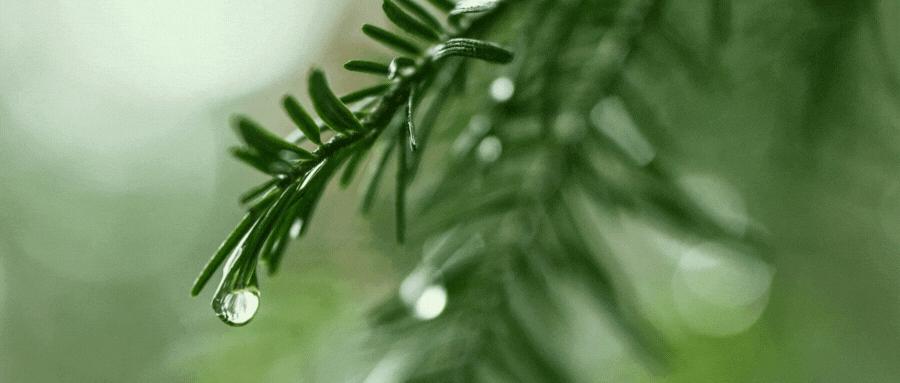 什么是类金融经营模式,类金融模式融资优缺点