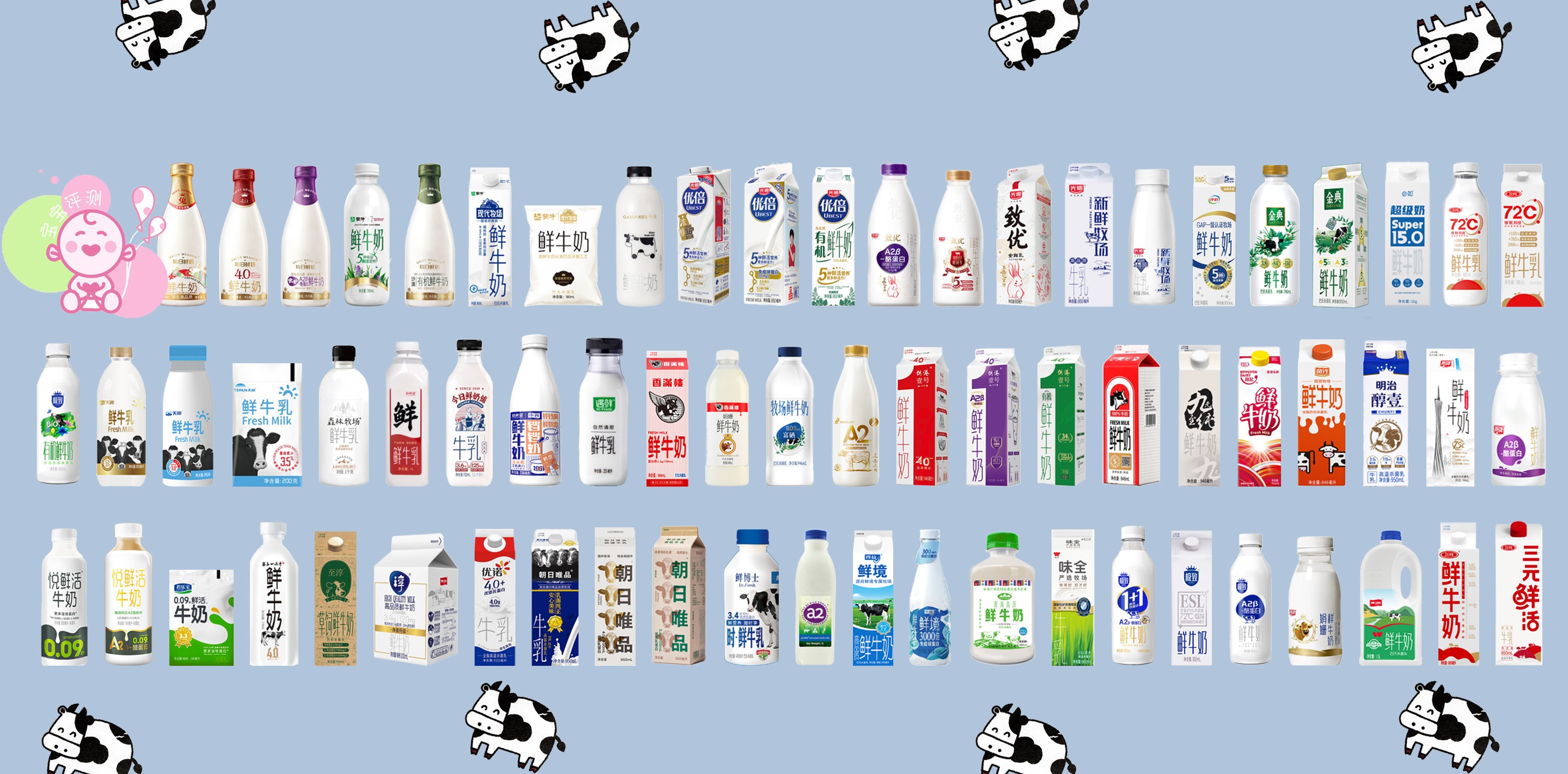 鲜牛奶80度还有营养吗,最好的鲜牛奶低温奶