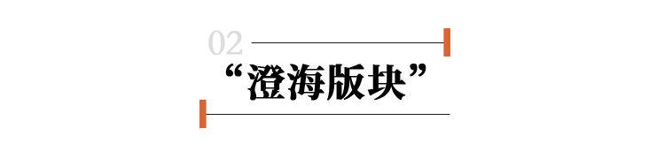 靠喜羊羊、国潮积木致富，卖玩具的广东小城年赚500亿