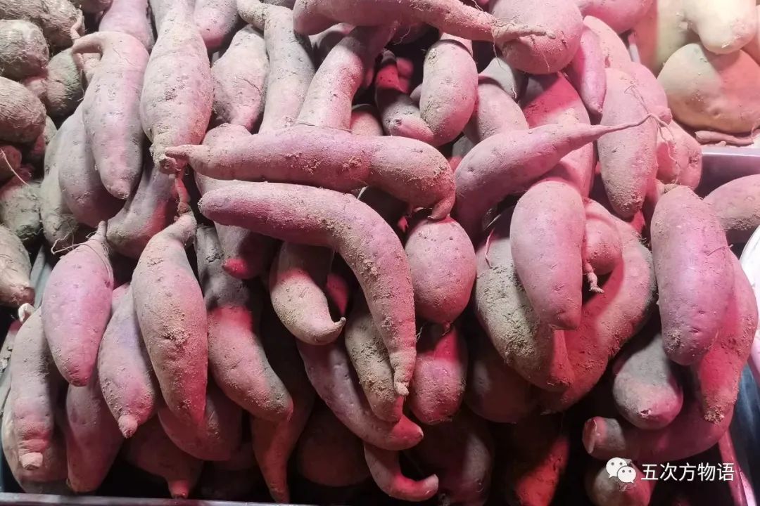 根类食物大全 (5种根菜类的食材)