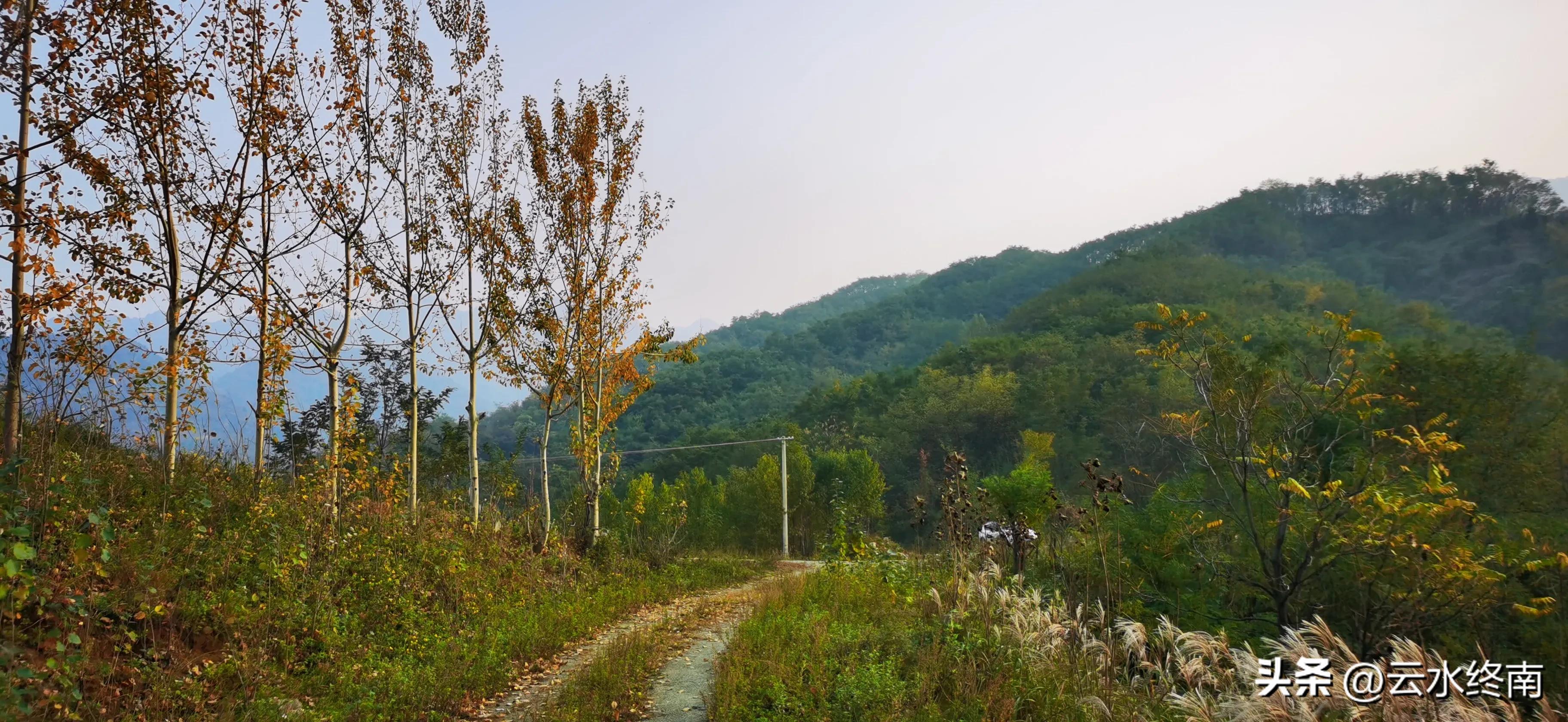 享个清福！到少有人知的峙峪看看漫山红叶，喝喝住山人清茶