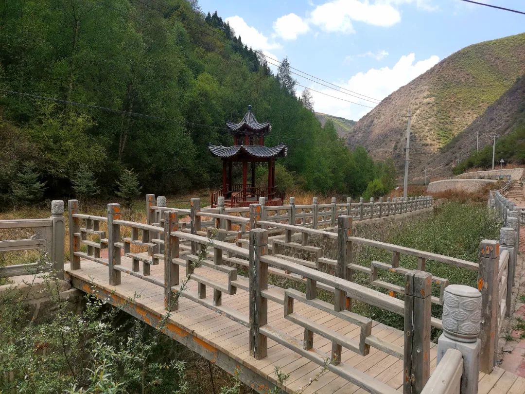 我们这十年原视频,我们这十年东乡