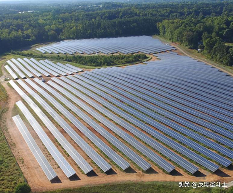 特斯拉跟比亚迪最新消息,特斯拉与比亚迪最新消息