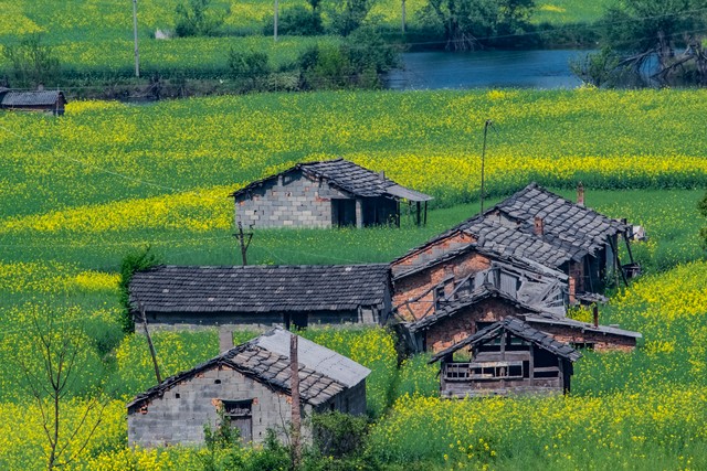 写一篇自己的家庭作文,关于自己的家庭的文章