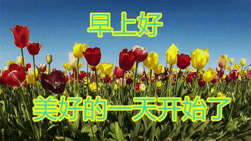 2023年农历是什么年癸卯年,农历2023年癸卯年正月结婚吉日