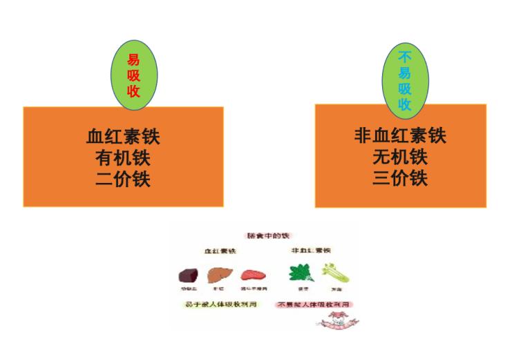 治疗缺铁性贫血的药物品牌,缺铁性贫血的药的名称